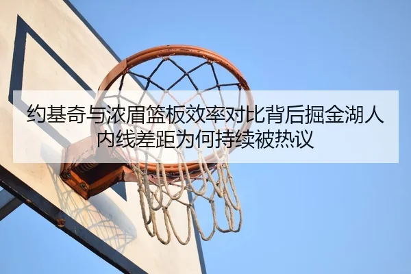 约基奇与浓眉篮板效率对比背后掘金湖人内线差距为何持续被热议